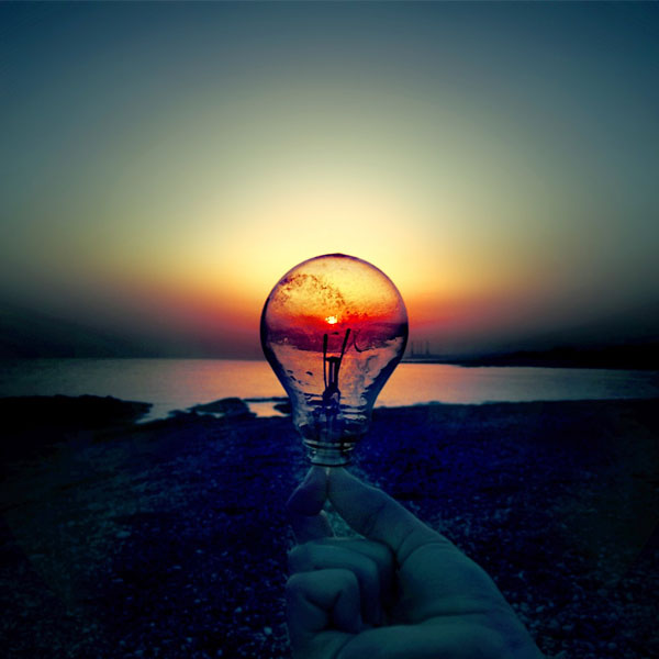 接受檢查和處罰信息公開申請表